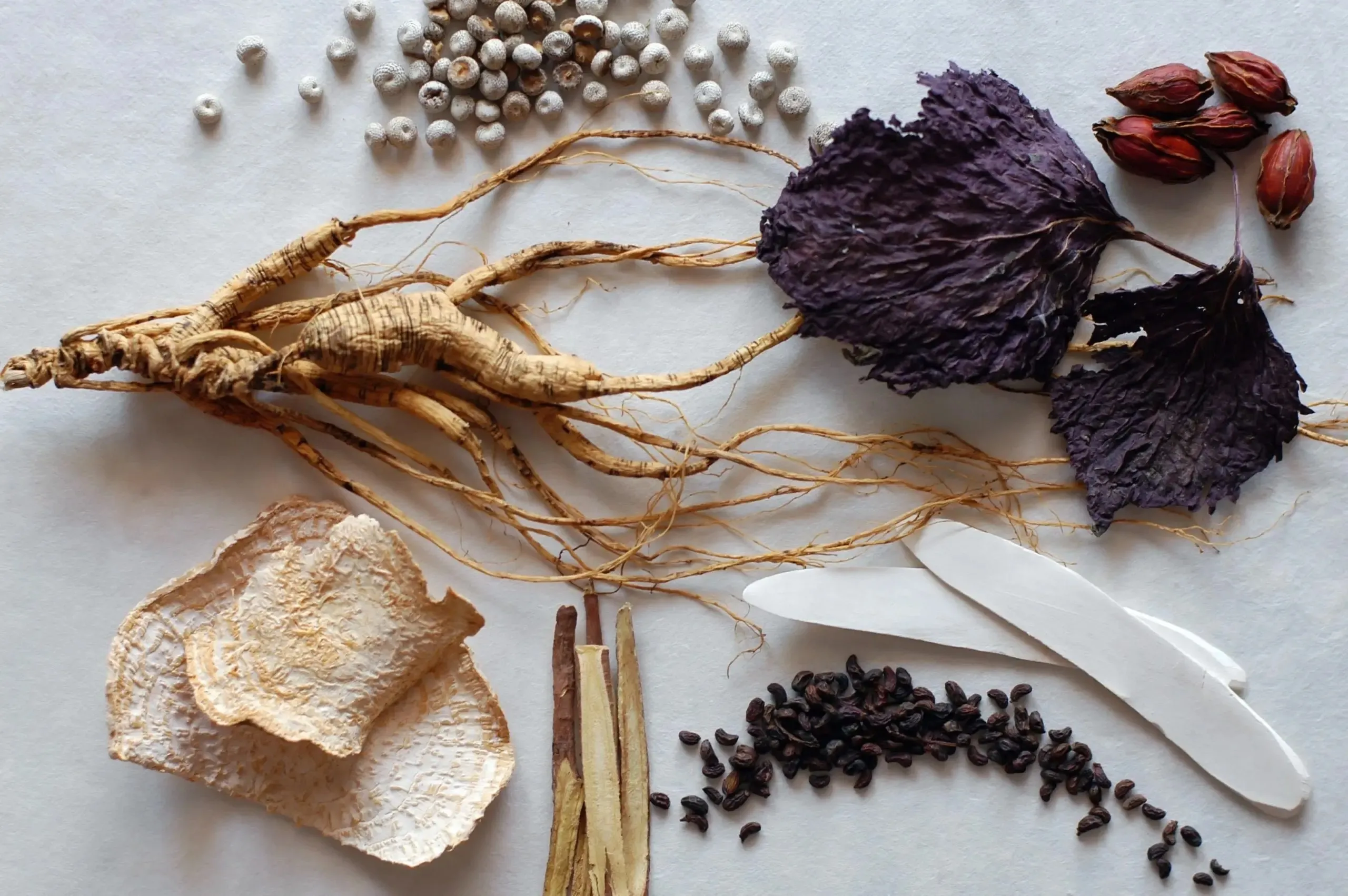 Fertility acupuncture support